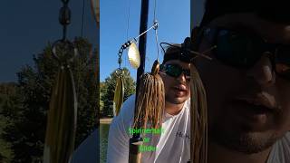 Downsizing Trend fishing muskie musky muskyfishing fishingtackle midwestfishing muskybaits [upl. by Egag]