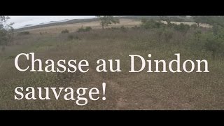 Chasse au Dindon sauvageNouvelle Calédonie [upl. by Navlys]