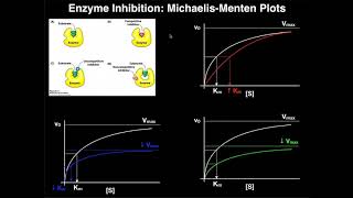 Enzyme Inhibitors  Mechanisms MichaelisMenten Plots amp Effects [upl. by Anikehs]