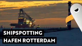 Shipspotting in Rotterdam Maasvlakte 🛳️ bis zum Sonnenuntergang [upl. by Haimorej]