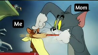 Tom and jerry exam result status shorts viral [upl. by Alleciram]