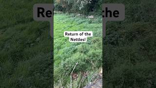 Return of the Nettles [upl. by Rosemary539]