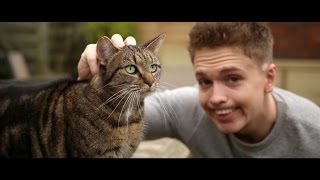 Joe Weller  Kitty Music Video [upl. by Ayoted88]