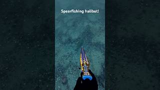 Spearfishing halibut in Norway fishing spearfishing halibut [upl. by Ellan31]