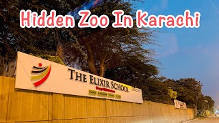 Elixir Zoo Hidden Zoo In Karachi Fun Activities location in description [upl. by Sikleb]