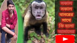 The Day Humanity Changed Forever  The Most Important Day 🐒🐒🐒 humanity animal youtubevideo [upl. by Eisen]