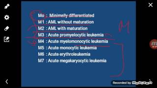 Pathologyhls  Acute myeloid leukemia  part1 [upl. by Nylirej815]