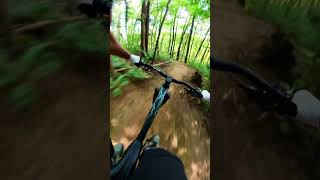 FLOW in the WOODS mtb enduro insta360 canyon [upl. by Tjaden755]