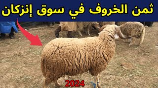 ثمن الخروف سوق تلاثاء إنزكان 2024 agadir maroc [upl. by Venuti]