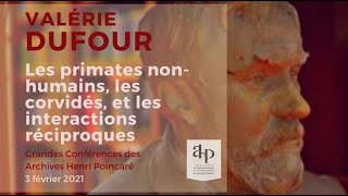 Valérie Dufour Les primates nonhumains et les interactions réciproques Grandes Conf AHP [upl. by Neirda]