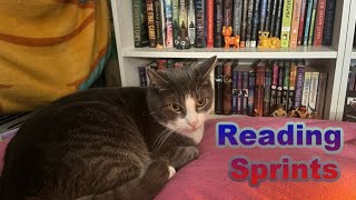 Reading Sprints  Come read with me [upl. by Akire]