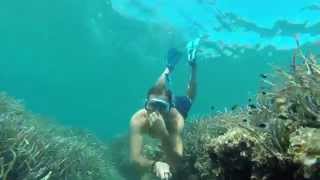 Plongée Observation sous Marine en Apnée  Mer Méditerranée  Freediving Snorkeling [upl. by Pulcheria824]