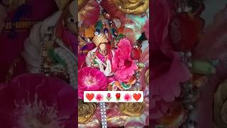 Saanwre shyam 🪷💖 krishna vrindavan krishnabhajan radheradhe youtubeshorts shortsvideo shorts [upl. by Ayatnohs]