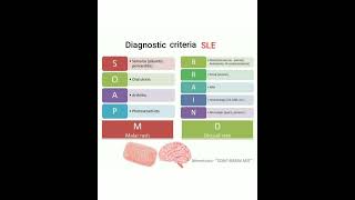 🌈 Mnemonic SLE Features 🌈 [upl. by Llecrad]