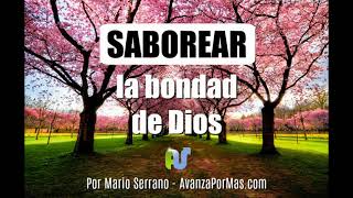 Reflexión Cristiana Puedes SABOREAR LA BONDAD DE DIOS  PREDICAS CORTAS [upl. by Eiramlatsyrk]