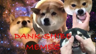 11 MINS OF DANK SHIBE MEMES [upl. by Minabe]