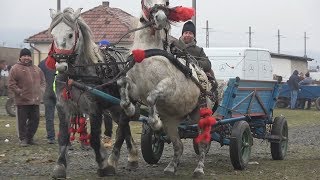 Targ de cai Gilau Cluj 5 ian 2018 [upl. by Madaras435]