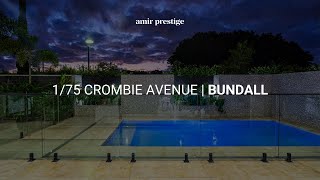 175 Crombie Avenue Bundall  Gold Coast Luxury Property  Amir Prestige [upl. by Einneb]