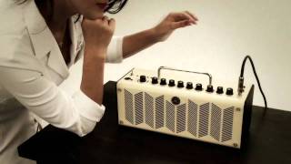 Yamaha THR Portable Guitar Amp with USB Audio Interface from Soundsliveshopcom [upl. by Haelat]