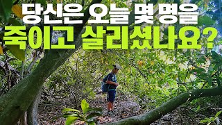 어느 욕쟁이 60대의 이야기  말 한마디가 만드는 나비효과  6살 온유의 등교길 [upl. by Nyleda]