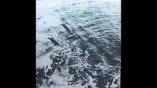 sounds of sea animals part 2 porpoise sounds [upl. by Cosimo]