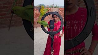 Tota Poonam se kya bol Rahe shortvideo shorts [upl. by Constancia]