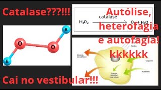 Aula 12  Biologia  Lisossomos e Peroxissomos biologia vestibular enem [upl. by Oirrad]