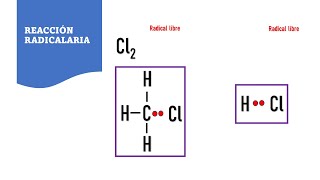 REACCIÓN RADICALARIA  RADICALES LIBRES  REACCIÓN POR RADICALES LIBRES  QUÍMICA ORGÁNICA [upl. by Pucida]