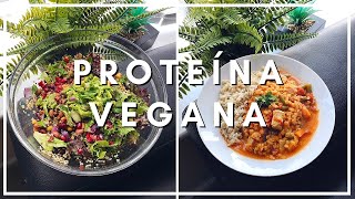 3 recetas VEGANAS altas en PROTEÍNA 🥦 [upl. by Olumor]