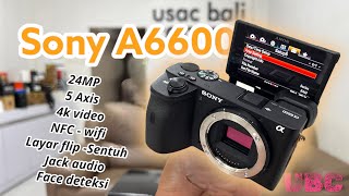 SONY A6600 Review Indonesia [upl. by Etteluap112]