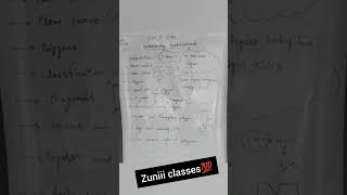 motivation with zuniii classesclass 8 maths UNDERSTANDING QUADRILATERAL short video [upl. by Narmak]