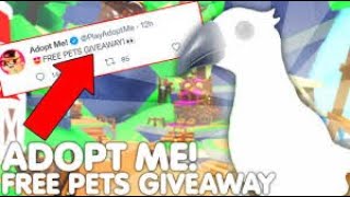 Roblox adopt me shadow giveaway🎁 live🔴first live [upl. by Fawcett445]