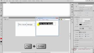 input text field  создание поля для ввода текста во Flash [upl. by Olegna]