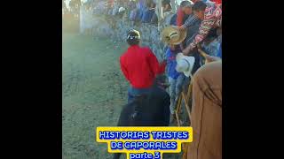 HISTORIAS TRISTES de caporales PARTE 3 toros torosbravos rodeos ganado mascotas jaripeo [upl. by Redlac]