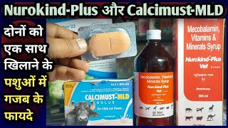 NurokindPlus Syrup और CalcimustMLD Bolus दोनों को एक साथ पशुओं को खिलाने के फायदे👌कब कैसे [upl. by Llenehc763]