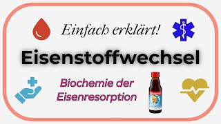 Eisenstoffwechsel Einfach erklärt  Biochemie der Eisenresorption [upl. by Atteragram]