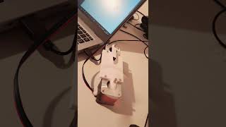 test speed stepper motor costycnc [upl. by Hebel]