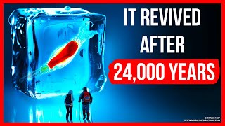 Tiny Creature Spent 24000 Years Frozen and Survived [upl. by Gnet]