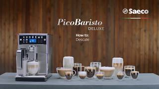 Saeco PicoBaristo Deluxe SM5573  How to Descale [upl. by Izogn913]