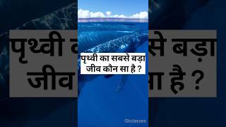 पृथ्वी का सबसे बड़ा जीव कौन सा है  🤔🤔🔥 gk gkquiz [upl. by Airotel]