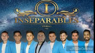 COCTEL DE OLVIDO  INSEPARABLES 2019 [upl. by Inaluiak]