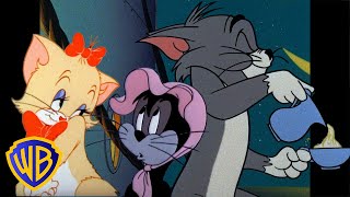 Tom y Jerry en Español 🇪🇸  ¡Gatos Miauravillosos 😻  WBKidsEspana​ [upl. by Lussi]