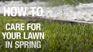 How To Care For Your Lawn In Spring  Bunnings Warehouse [upl. by Shirk987]