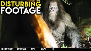 THIS Is WHY People Are SCARED Of This Trail Cam Footage [upl. by Andreas]