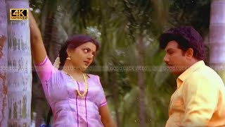 தென்னமர தோப்புக்குள்ளே குயிலே குயிலே பாடல் Thennamara thoppukkulle kuyile kuyile song  Spb Janaki [upl. by Tisha]