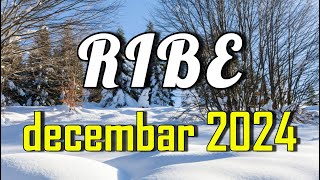 RIBE  Horoskop za DECEMBAR 2024 [upl. by Kwan851]