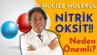 MUCİZE MOLEKÜL NİTRİK OKSİT NEDEN ÖNEMLİ [upl. by Aryaz]