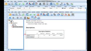 SPSS BETİMSEL İSTATİSTİK Tez raporu yazımı [upl. by Chaing]