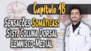 Fisiologia  Sensações Somáticas I Sensações de Tato e Posição Corporal Capítulo 48 PT 1 │ GUYTON [upl. by Yevrah141]