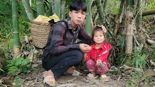 The Foolish Boy and the Abandoned Girl Harvest Vegetables to Sell  Ly Van Chieu [upl. by Llennahc]